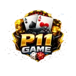 P11 game